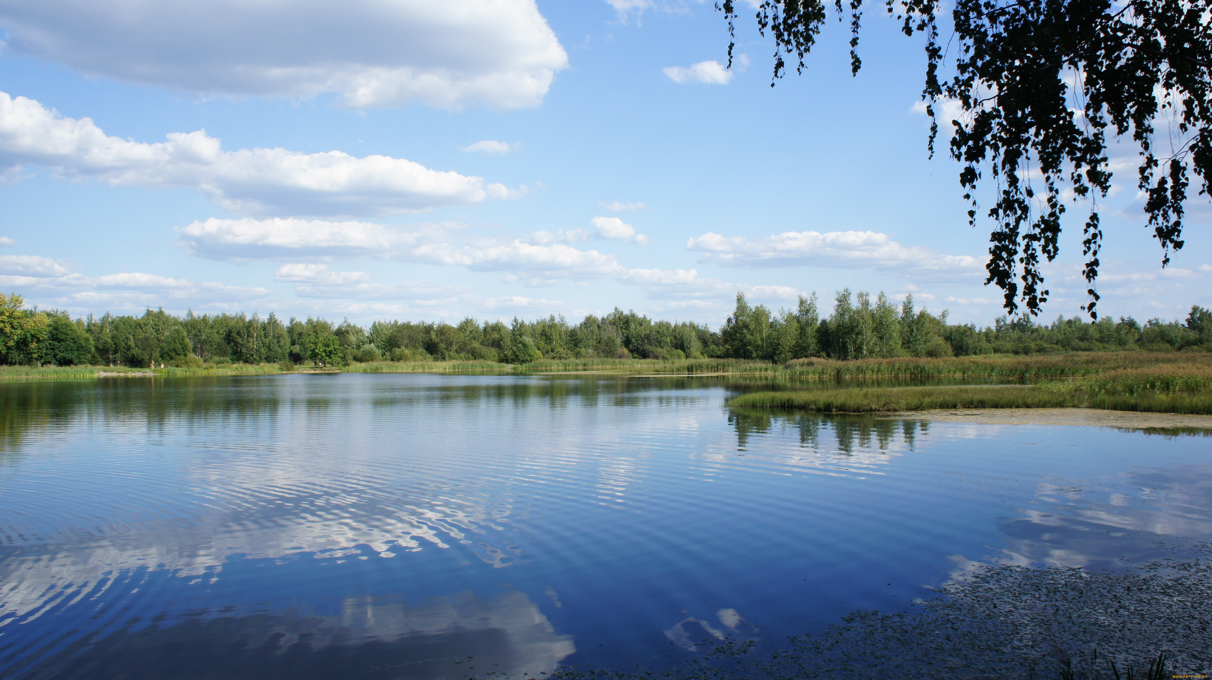 Вадское озеро Нижегородская область